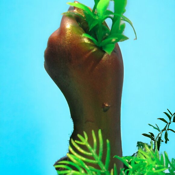 Aquarium Decoration  - Gold and Blue Bouquet Holder with Flower Plant. - Picture 6 of 6